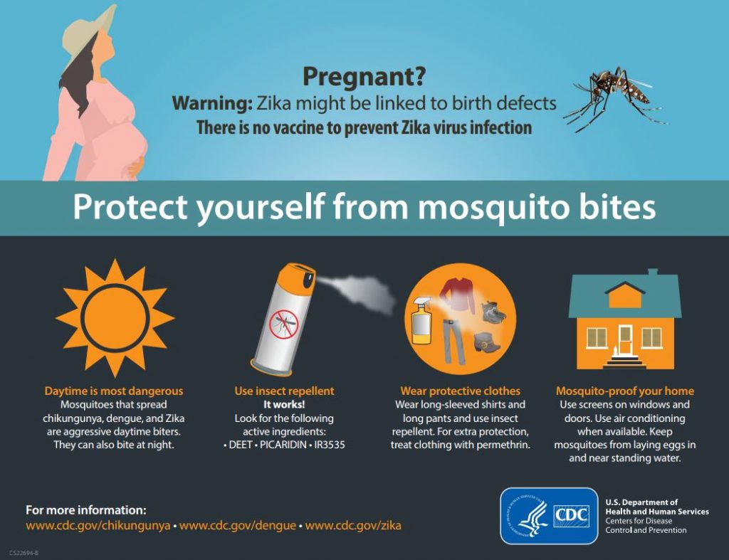 Zika Pregnant