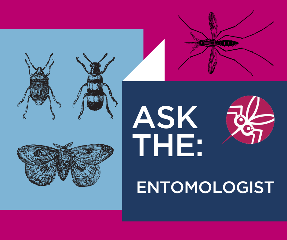 Ask the Entomologist Preventing Ticks