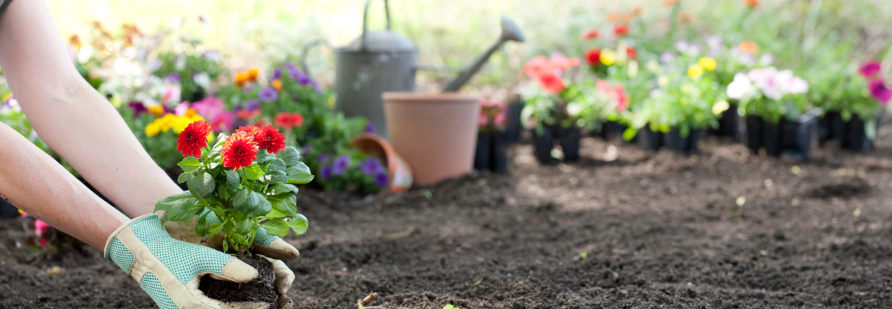 Planting a Flower Garden