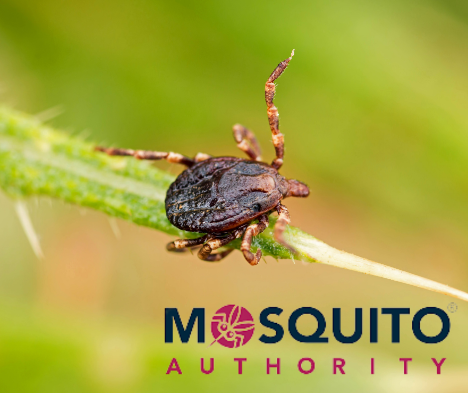 Tick and Mosquito Control Facts