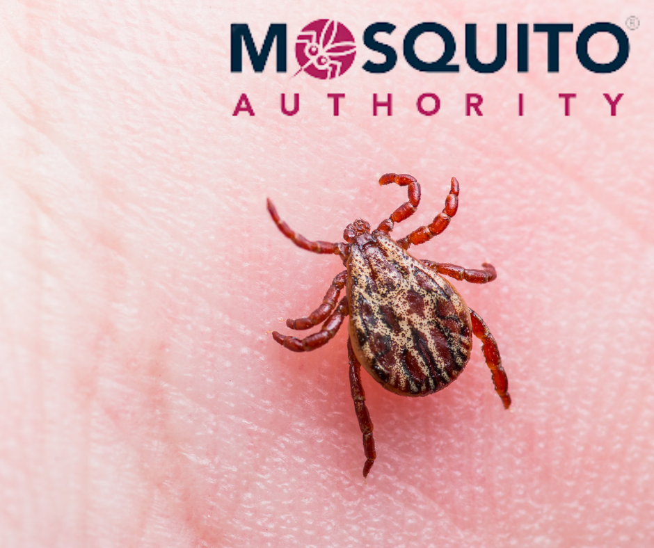 Tick borne Diseases and Symptoms